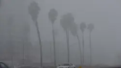 Cessna crash into San Diego neighborhood spotlights hazards of flying in fog